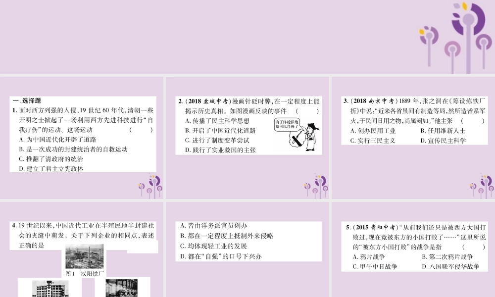 中考历史总复习 第一编 教材知识速查篇 模块一 中国近代史 第2讲 近代化的早期探索与民族危机的加剧(精练)课件