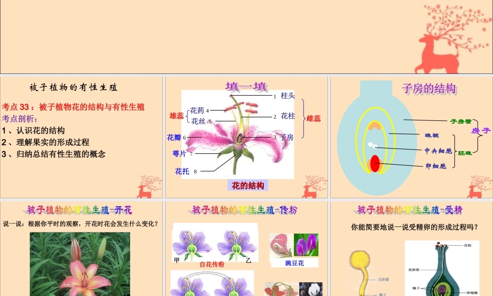 八年级生物下册 第六单元 生物的繁衍和发展 第一章 生物的繁殖 6.1.1 被子植物的生殖课件(新版)冀教版 课件