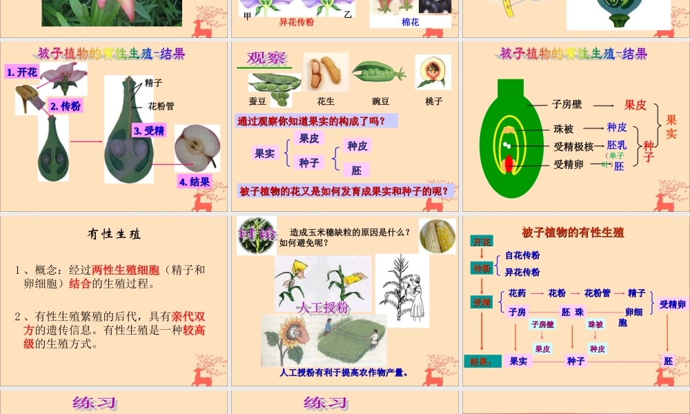 八年级生物下册 第六单元 生物的繁衍和发展 第一章 生物的繁殖 6.1.1 被子植物的生殖课件(新版)冀教版 课件