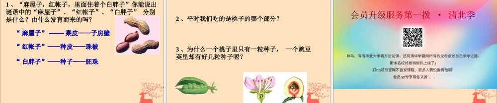 八年级生物下册 第六单元 生物的繁衍和发展 第一章 生物的繁殖 6.1.1 被子植物的生殖课件(新版)冀教版 课件