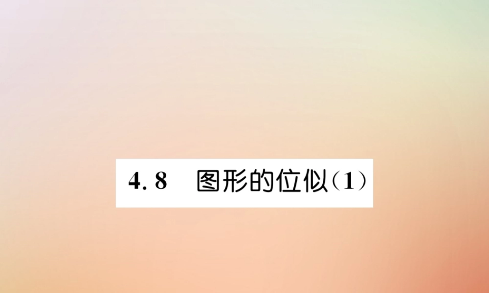 九年级数学上册 第4章 图形的相似 48 图形的位似(1)作业课件 (新版)北师大版 课件