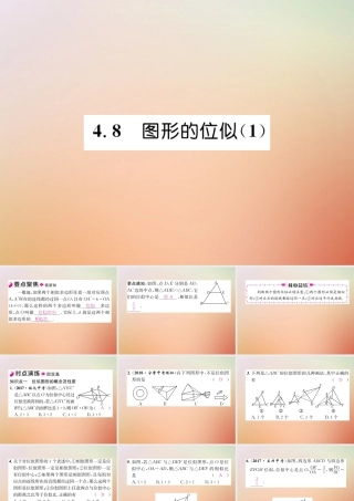 九年级数学上册 第4章 图形的相似 48 图形的位似(1)作业课件 (新版)北师大版 课件