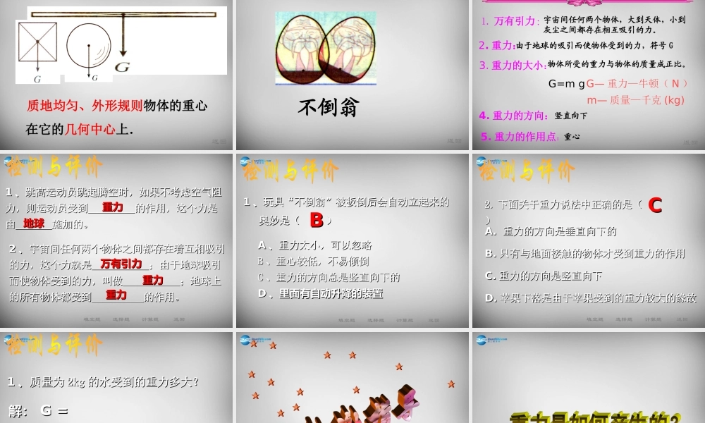 八年级物理下册(7.3 重力)课件 (新版)新人教版 课件