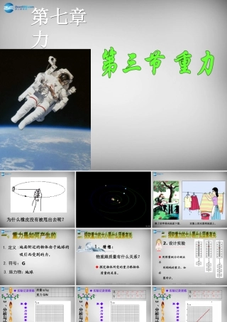 八年级物理下册(7.3 重力)课件 (新版)新人教版 课件