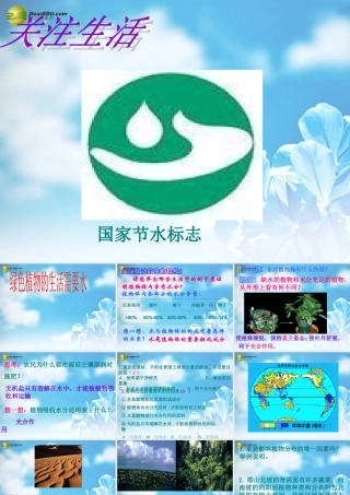 中学七年级生物上册(3.1 绿色植物的生活需要水生物)课件 新人教版 课件