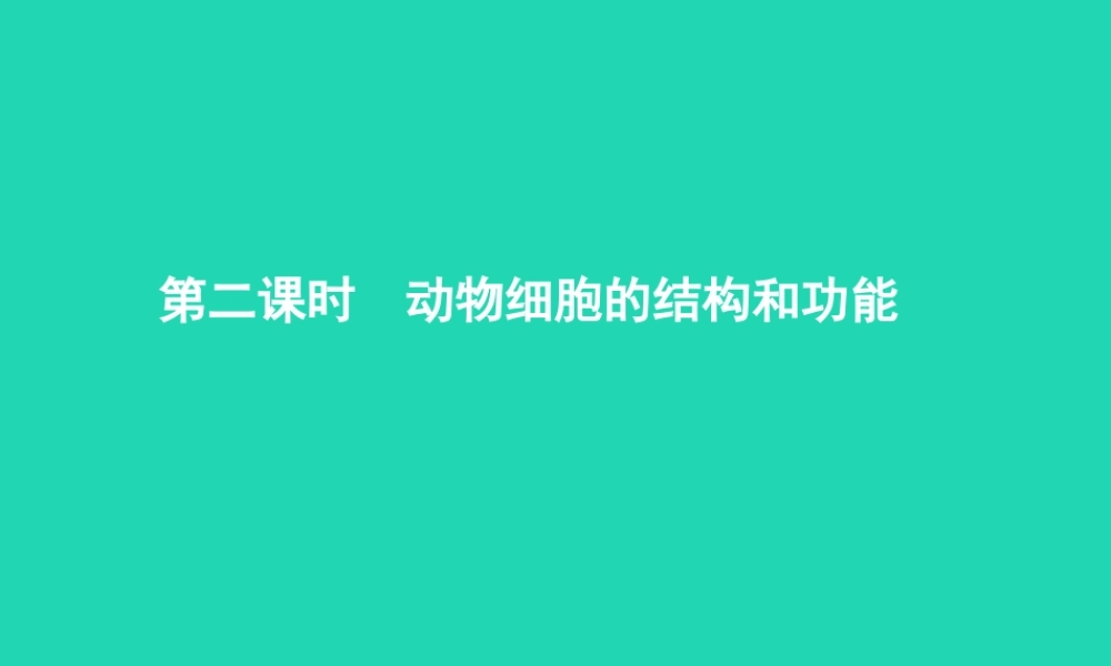 七年级生物上册 1.2.1 细胞的结构和功能(第2课时 动物细胞的结构和功能)课件 (新版)济南版 课件