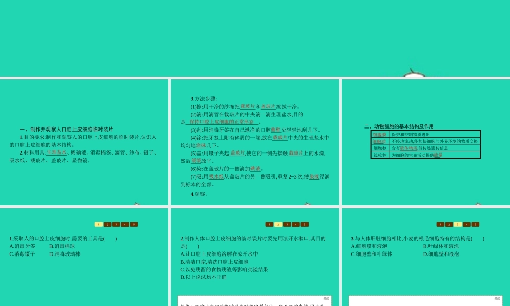 七年级生物上册 1.2.1 细胞的结构和功能(第2课时 动物细胞的结构和功能)课件 (新版)济南版 课件
