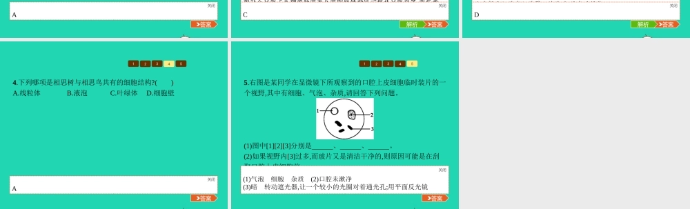 七年级生物上册 1.2.1 细胞的结构和功能(第2课时 动物细胞的结构和功能)课件 (新版)济南版 课件