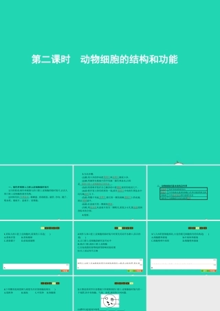 七年级生物上册 1.2.1 细胞的结构和功能(第2课时 动物细胞的结构和功能)课件 (新版)济南版 课件