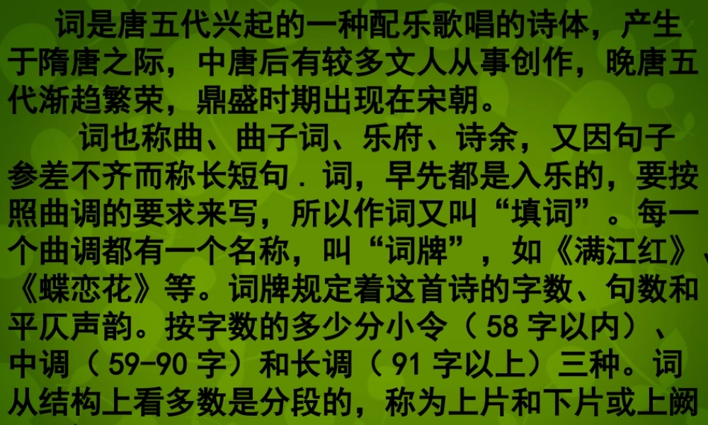 九年级语文上册 25 词五首课件 新人教版 课件