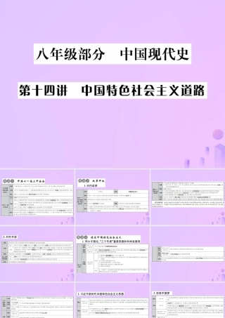 中考历史总复习 第十四讲 中国特色社会主文道路课件 新人教版 课件