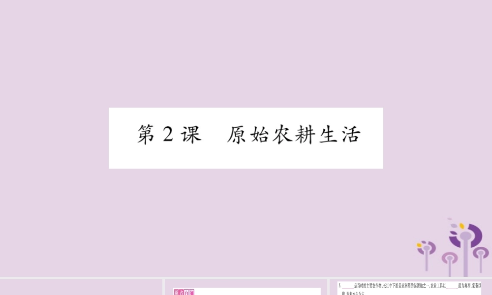 广西七年级历史上册 第1单元 史前时期 中国境内人类的活动 第2课 原始农耕生活课件 新人教版 课件