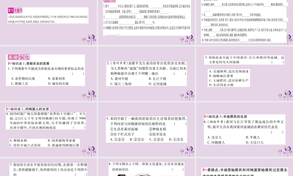 广西七年级历史上册 第1单元 史前时期 中国境内人类的活动 第2课 原始农耕生活课件 新人教版 课件