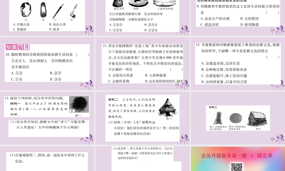 广西七年级历史上册 第1单元 史前时期 中国境内人类的活动 第2课 原始农耕生活课件 新人教版 课件