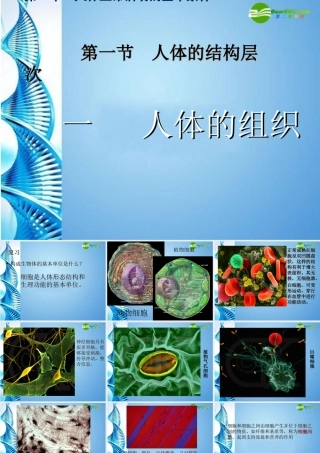 八年级生物 第一学期(试验本)第1章第一节 人体是怎样构成的 人体的组织课件 上海版 课件