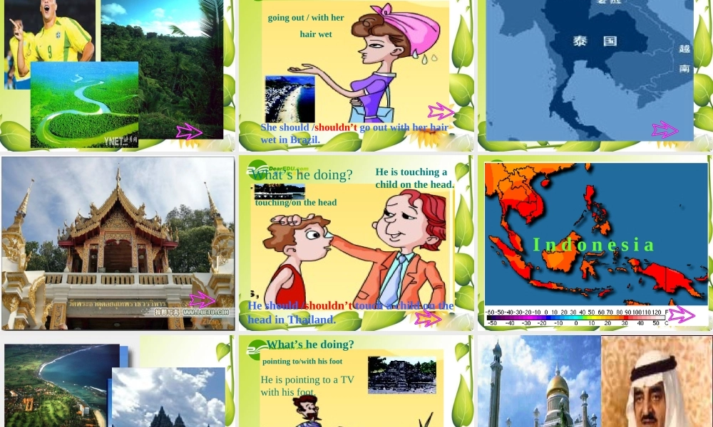 七年级英语下册：Unit 8 Topic 2 The summer holidays are coming Section C课件仁爱版 课件