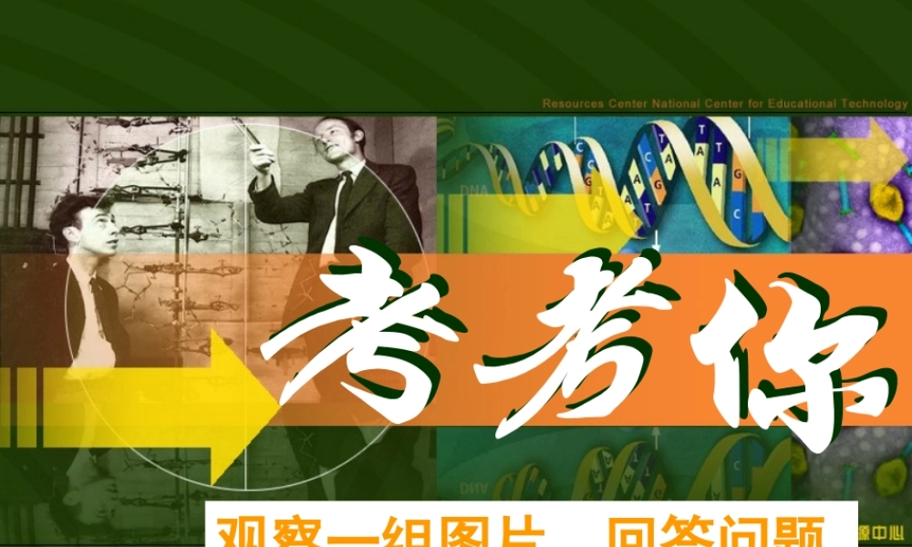 八年级生物下册 第二章 生物的遗传和变异课件 新课标 人教版 课件