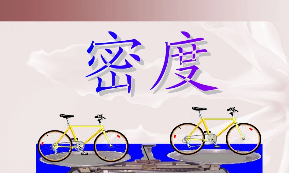 初中物理课件(探究物质的密度) 课件