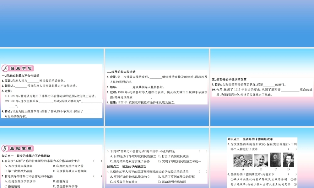 九年级历史下册 第3单元 第一次世界大战和战后初期的世界 第12课 亚非拉民族民主运动的高涨作业课件 新人教版 课件