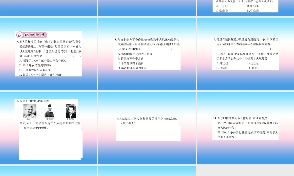 九年级历史下册 第3单元 第一次世界大战和战后初期的世界 第12课 亚非拉民族民主运动的高涨作业课件 新人教版 课件