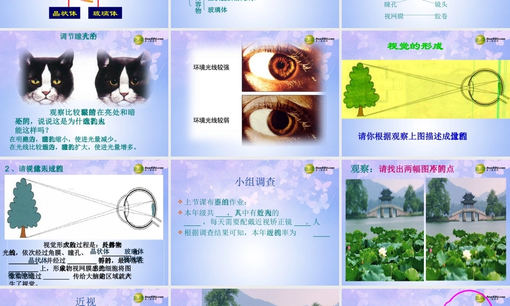 中学七年级生物下册课件：(人体对外界环境的感知) 鲁科版 课件