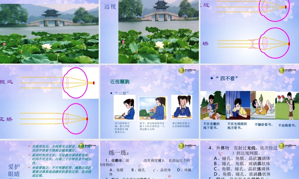 中学七年级生物下册课件：(人体对外界环境的感知) 鲁科版 课件