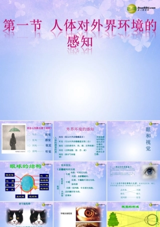 中学七年级生物下册课件：(人体对外界环境的感知) 鲁科版 课件