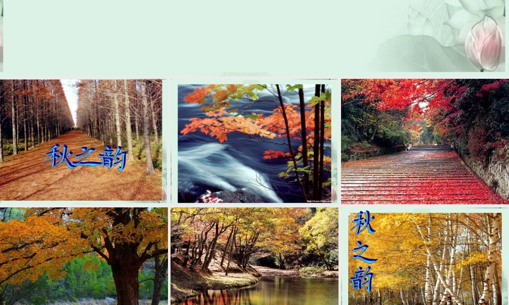 山东省菏泽一中高二语文(秋声赋)课件 新人教版 课件