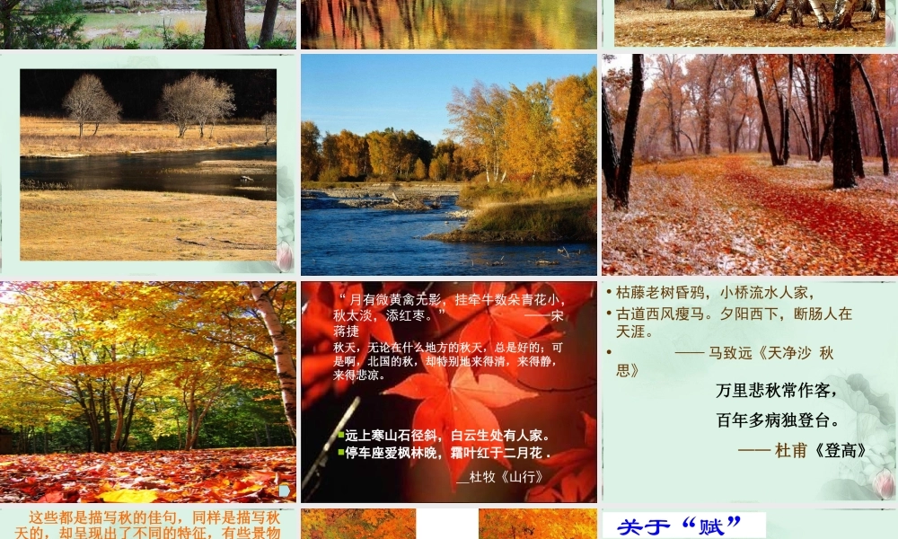 山东省菏泽一中高二语文(秋声赋)课件 新人教版 课件