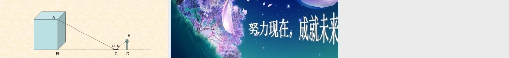 八年级数学下册 10.7.1相似三角形的应用 课件 苏科版 课件