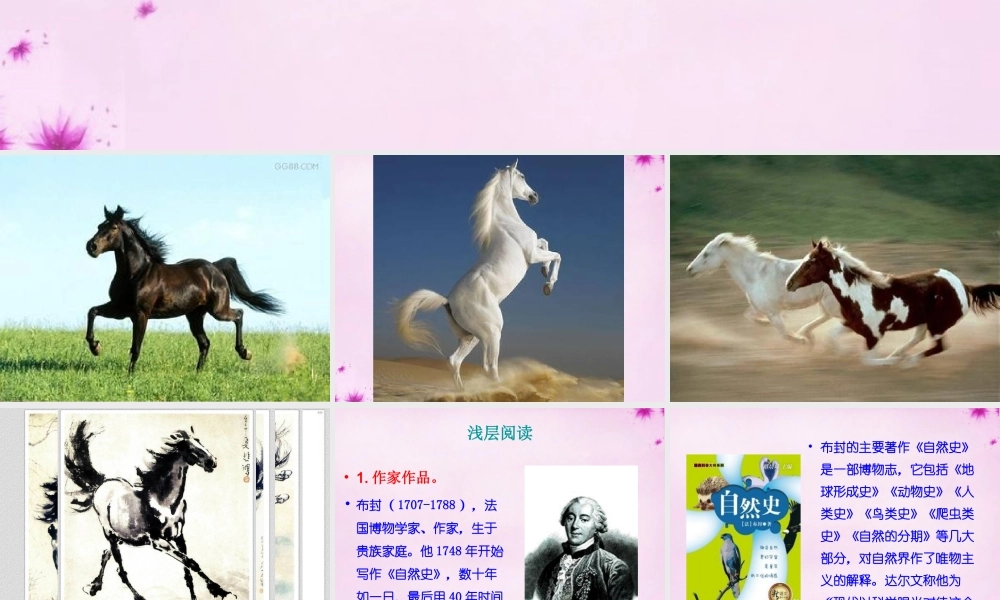 七年级语文下册 第六单元 29(马)课件 新人教版 课件