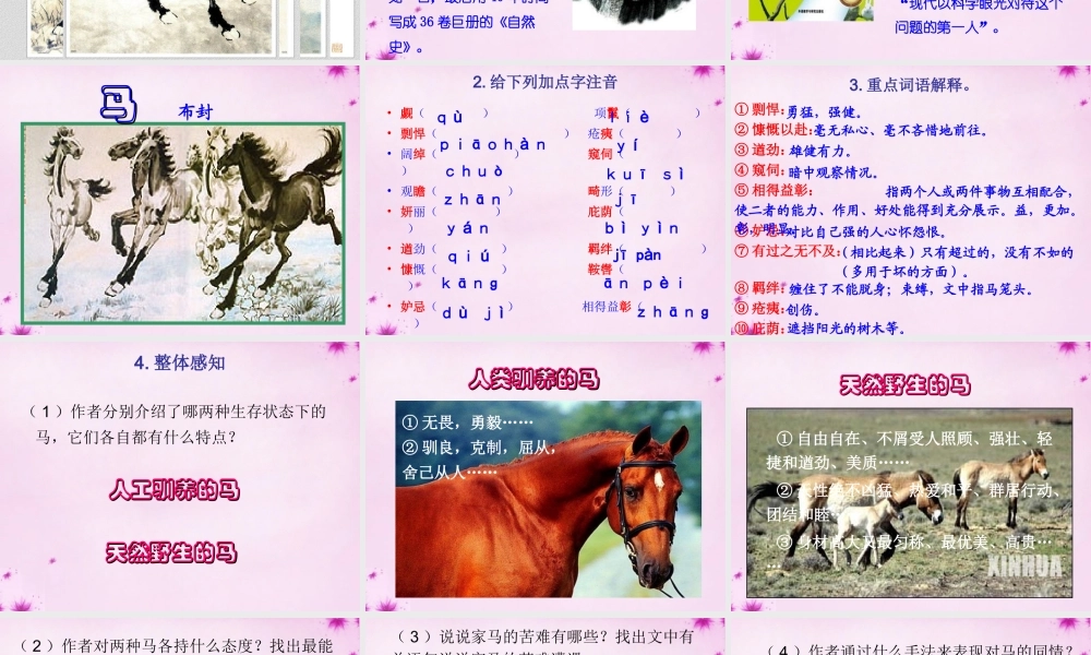 七年级语文下册 第六单元 29(马)课件 新人教版 课件