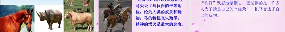 七年级语文下册 第六单元 29(马)课件 新人教版 课件