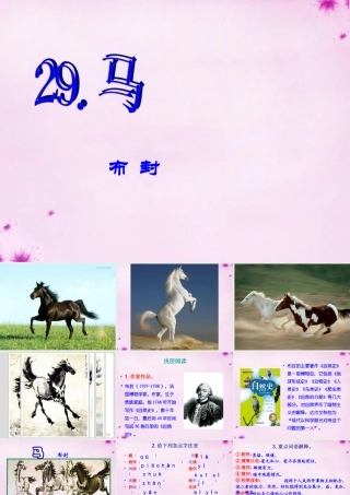 七年级语文下册 第六单元 29(马)课件 新人教版 课件