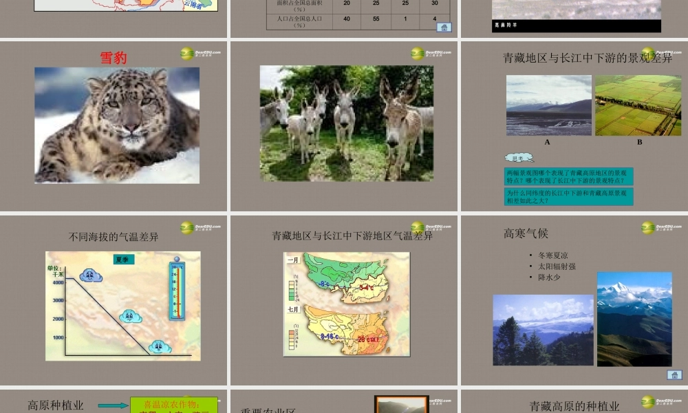八年级地理(青藏地区)课件2 课件