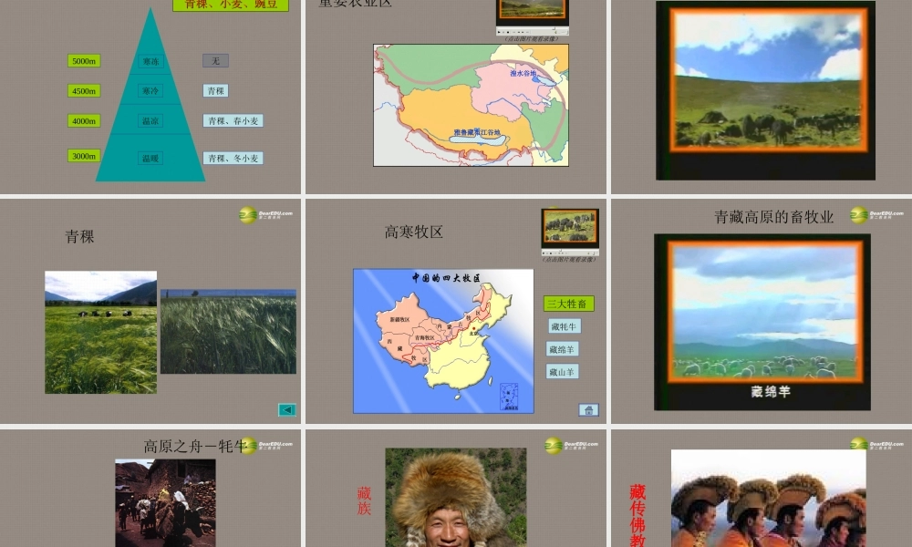 八年级地理(青藏地区)课件2 课件