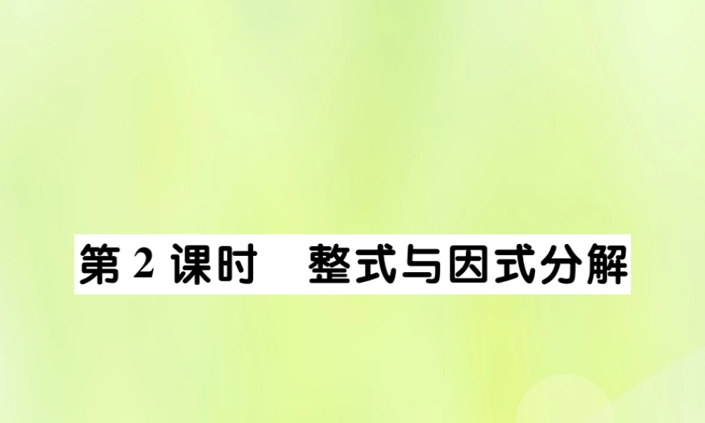 中考数学总复习 第一部分 考点梳理 第一章 数与式 第2课时 整式与因式分解课件