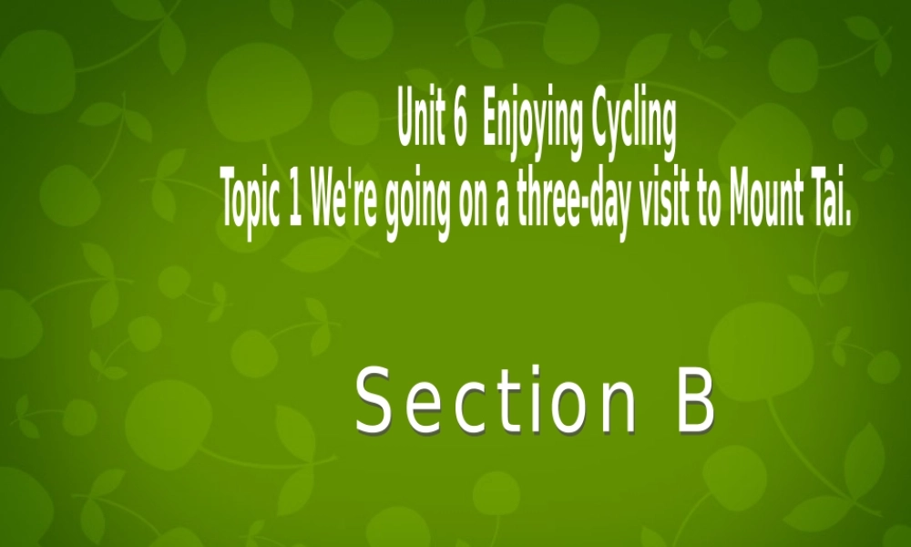 八年级英语下册 Unit 6 Topic 1 We re going on a three day visit to Mount Tai Section B课件 (新版)仁爱版 课件
