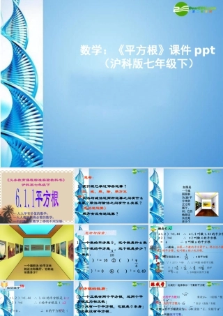 七年级数学下册(平方根)课件 沪科版 课件