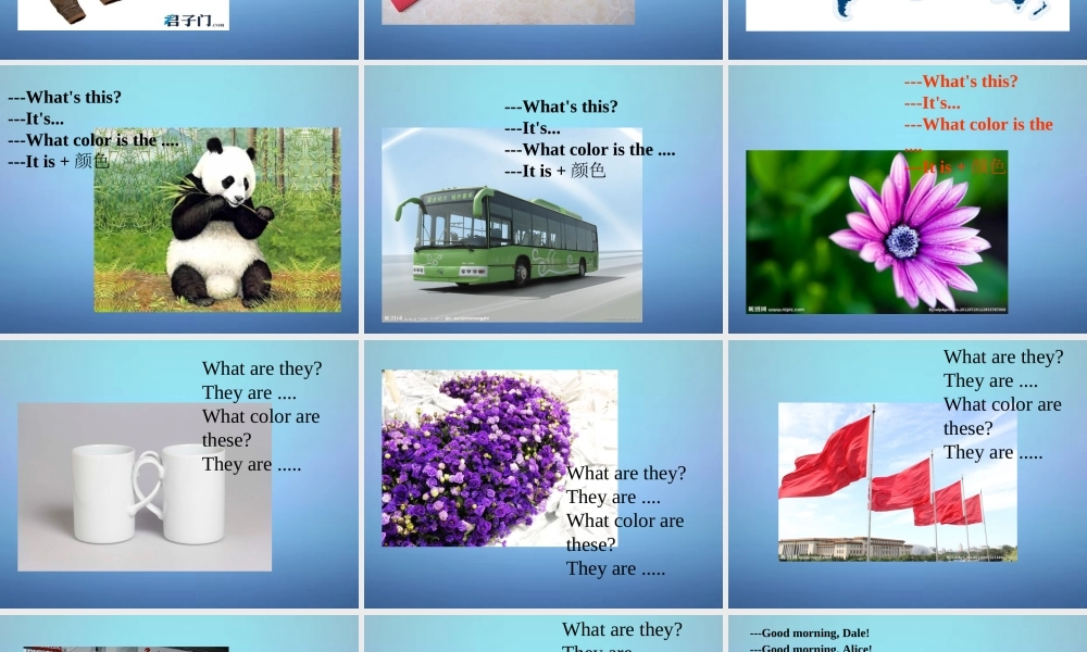 七年级英语上册 Starter Unit 3 What color is it(第1课时)课件 (新版)人教新目标版 课件