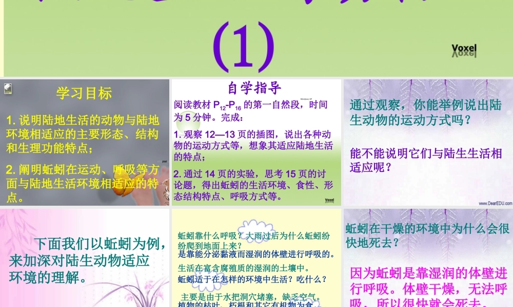 八年级上册 陆地生活的动物一 课件