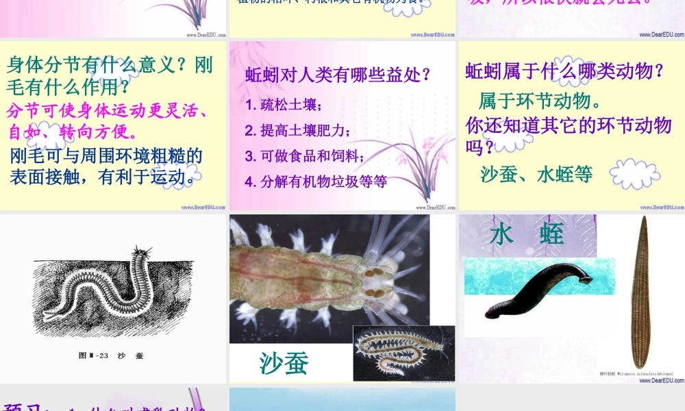 八年级上册 陆地生活的动物一 课件