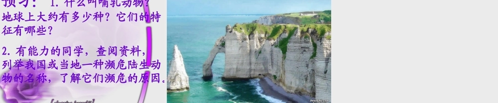 八年级上册 陆地生活的动物一 课件
