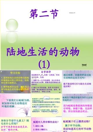 八年级上册 陆地生活的动物一 课件