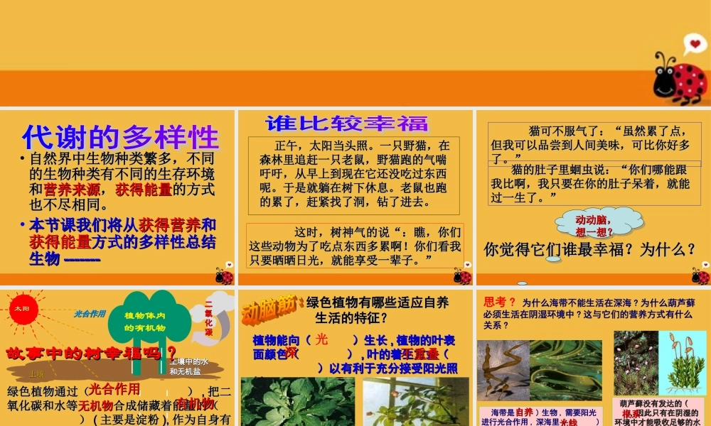 九年级科学 代谢的多样性课件  浙教版 课件