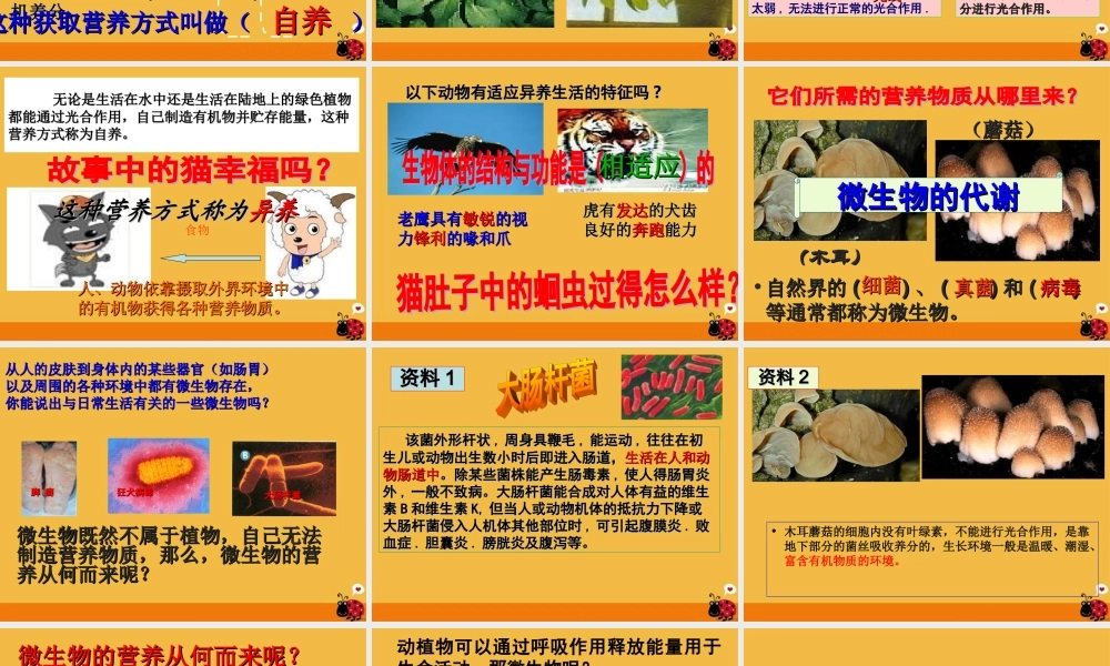 九年级科学 代谢的多样性课件  浙教版 课件