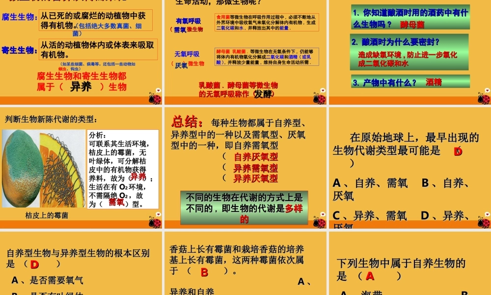 九年级科学 代谢的多样性课件  浙教版 课件