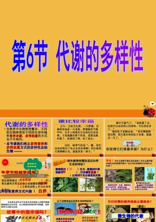 九年级科学 代谢的多样性课件  浙教版 课件