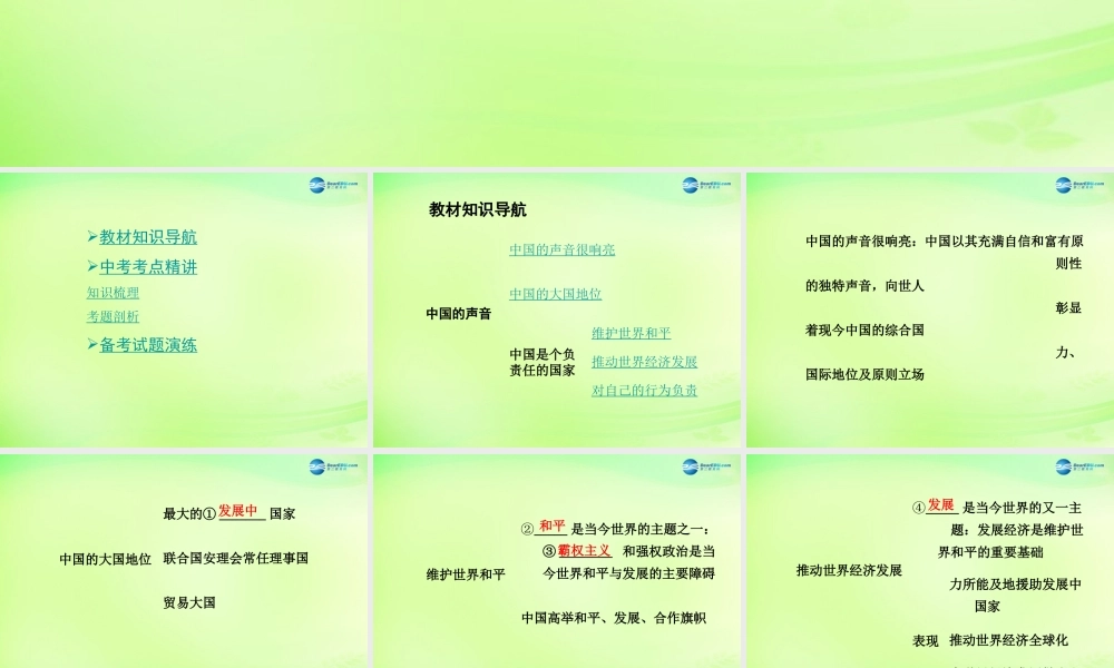 中考政治总复习 知识梳理精讲 九全 第二课 中国的声音课件 人民版 课件