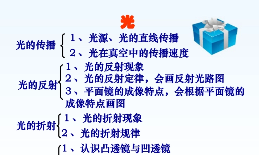 初三物理复习课件 光 课件
